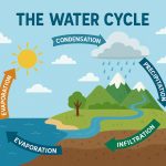 The Water Cycle: How Water Moves Through Nature