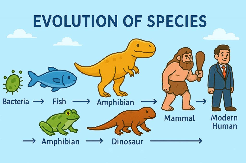 Evolution of Species: How Life Has Changed Over Time