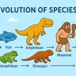Evolution of Species: How Life Has Changed Over Time