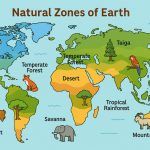 Natural Zones of Earth: Understanding the Planet’s Diverse Biomes