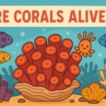 Are Corals Alive? Understanding the Living World of Coral Reefs