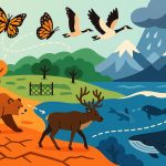 How Climate Affects Migration