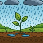 How Rain Affects Soil