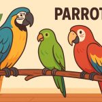 Parrots