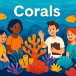 Corals: The Living Architecture of the Ocean