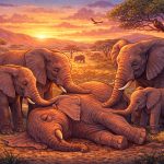 Do Elephants Mourn Their Dead?
